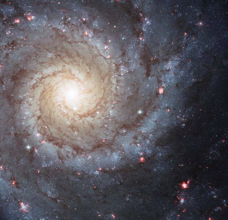 galaxie spiral