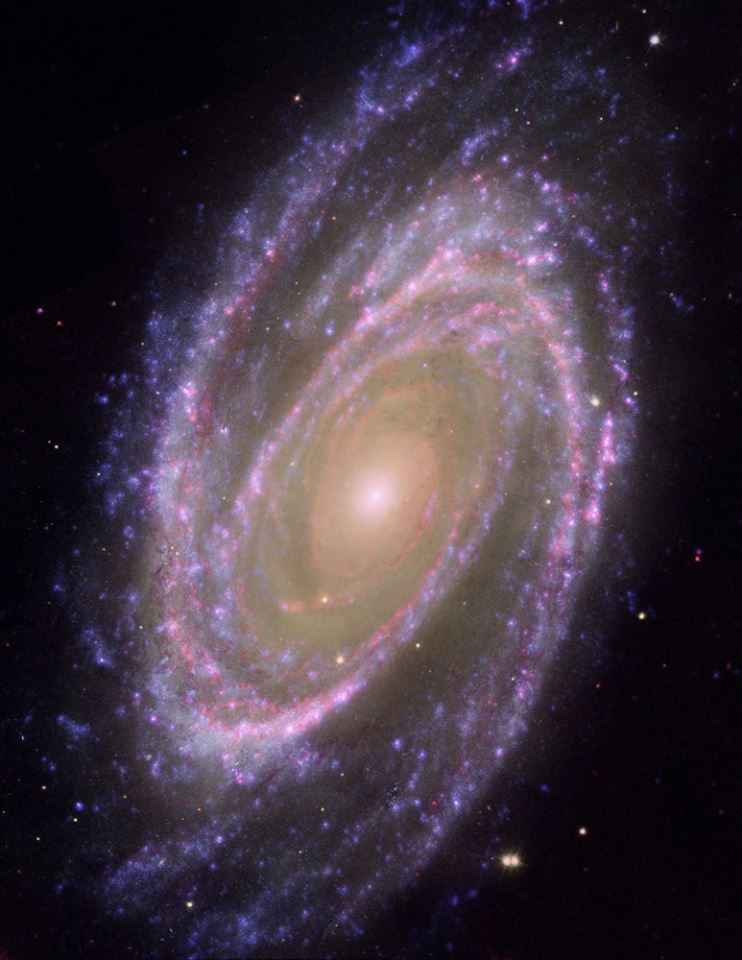 galaxie spiral