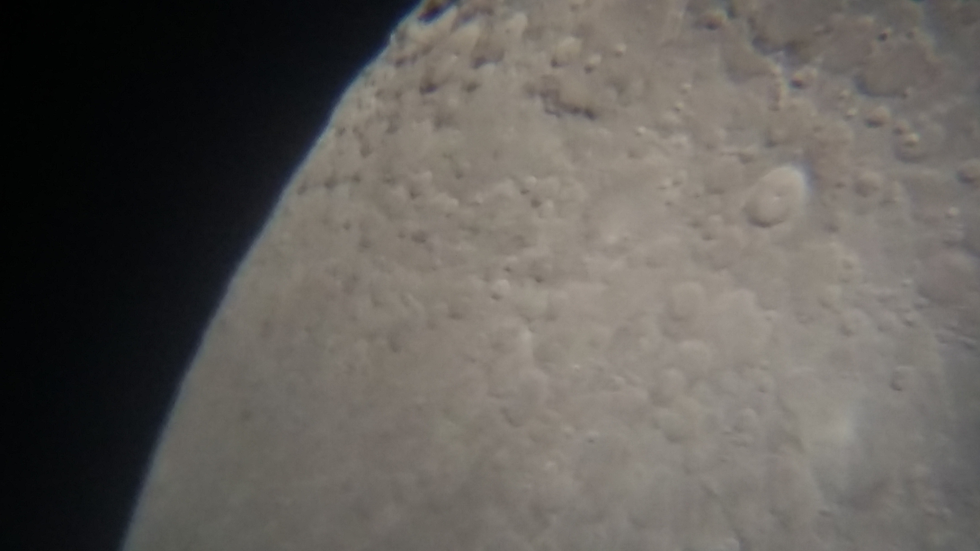 Image de la Lune du 15.02.2019 Gryon Suisse et St Gilles France
