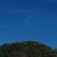 PHOTO DE LA LUNE DU 28.03.2018