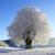 Evénements marquant météorologiques mémorial/  Février 2012 : la dernière grande vague de froid en France
