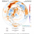 	 LE 10.07.2019:Météo en Live, phénomènes dangereux/   Chaleur record : près de 34 °C dans le sud de l'Alaska à 18h20