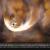 Actualité de l'astronomie du 05.12.2020 / Les rayons crépusculaires d'un trou noir révélés par Hubble ?